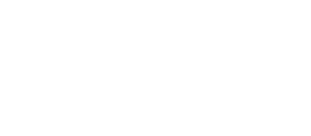 New Logic Networks logo
