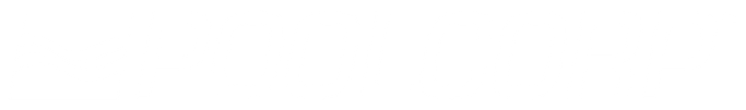 New Logic Networks logo